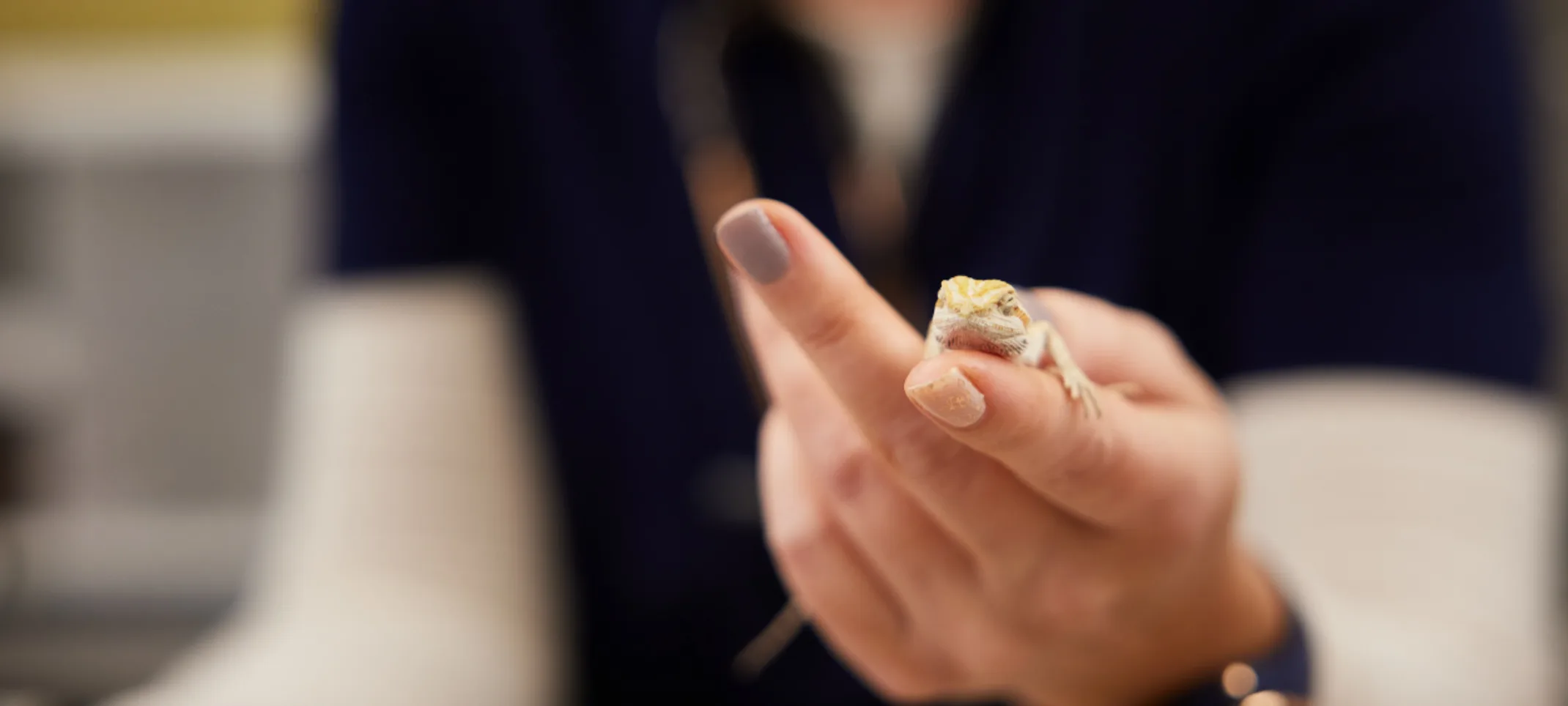 Staff Member Holding an Exotic Pet Staff Member Holding an Exotic Pet