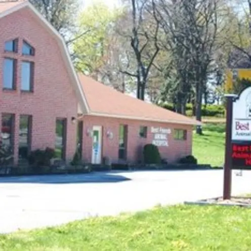 Best Friends Animal Hospital Brick Exterior Best Friends Animal Hospital Brick Exterior