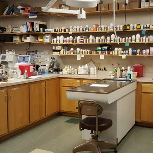 Pharmacy area and laboratory area at College Mall Veterinary Hospital