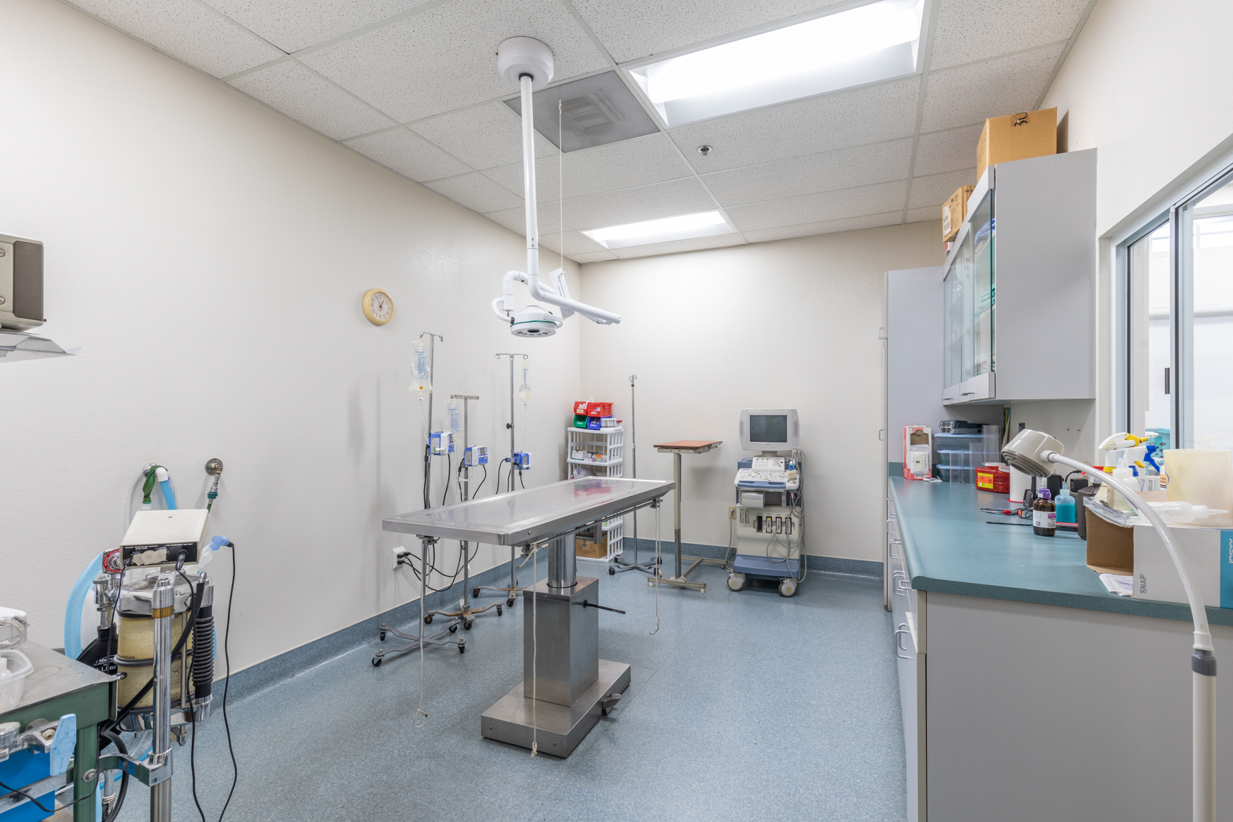 back office area with exam table at Oak Animal Hospital