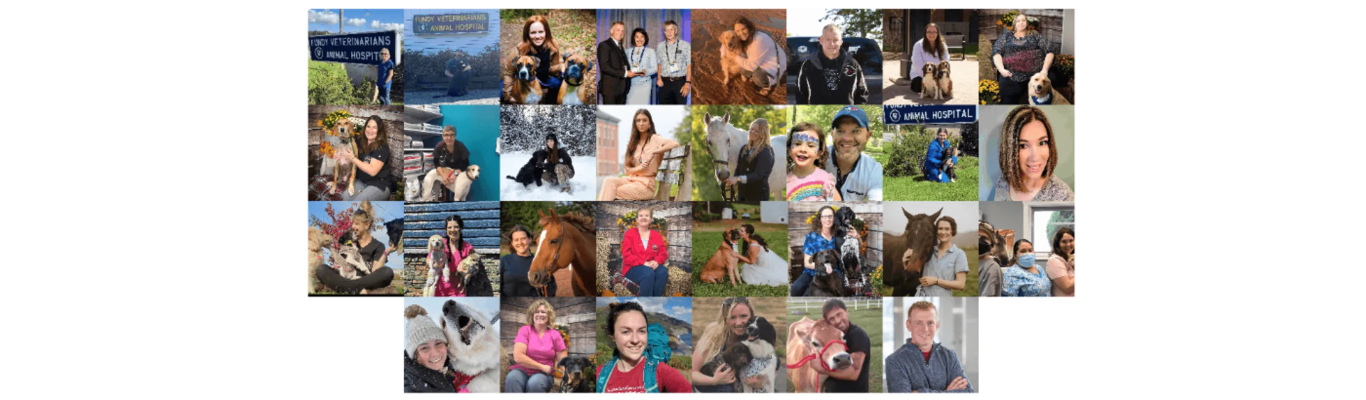 Fundy Veterinarians staff Fundy Veterinarians staff