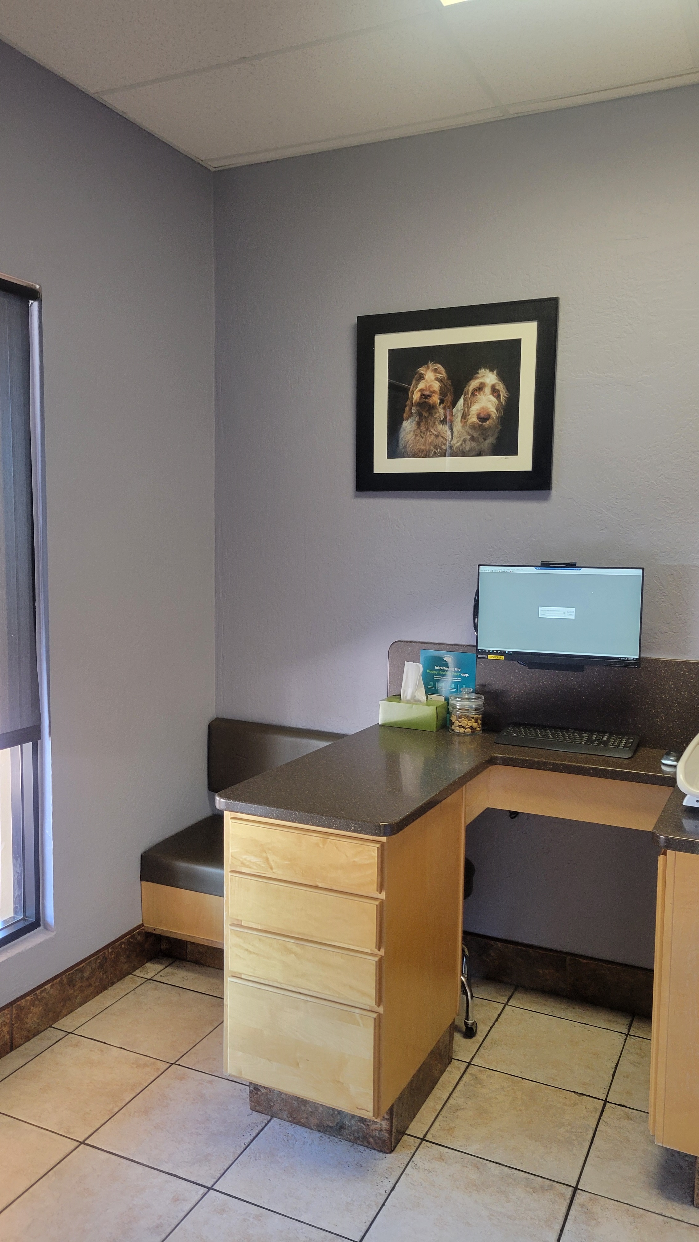 Exam room 4 at Pinnacle Peak Animal hospital