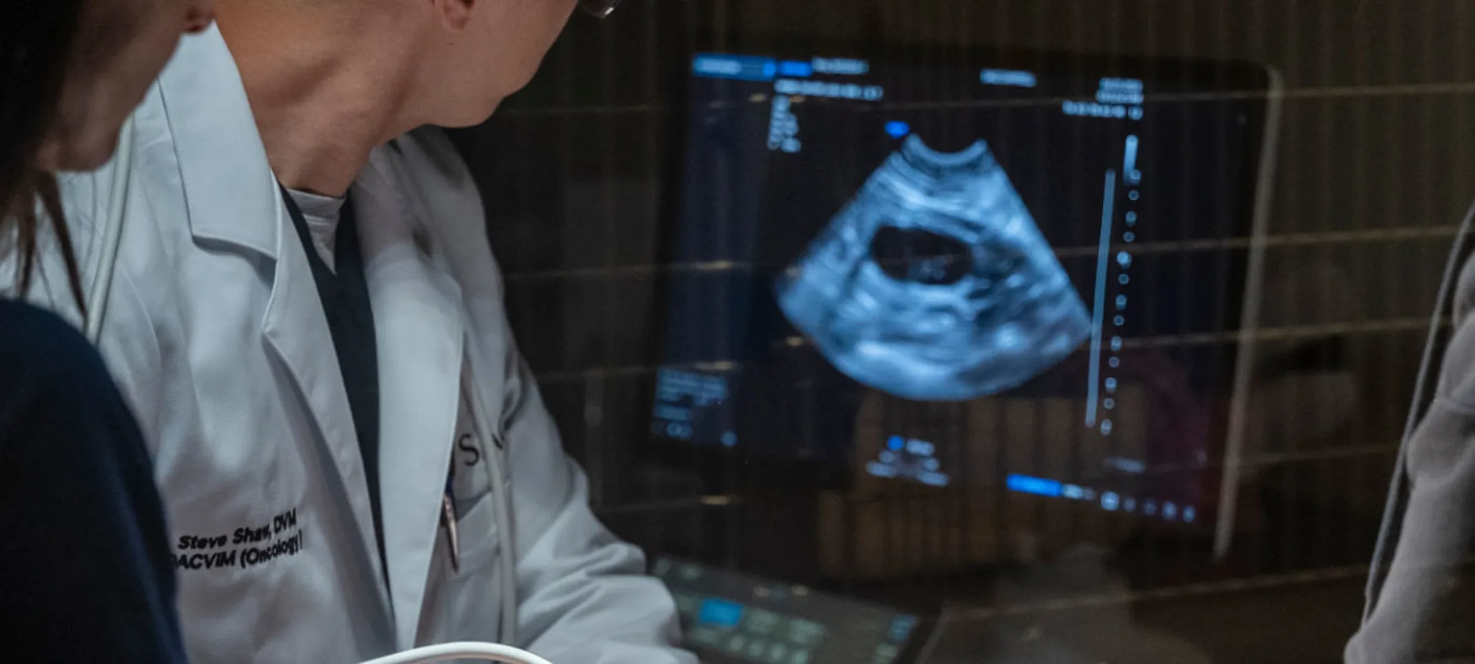 Staff members performing an ultrasound Staff members performing an ultrasound