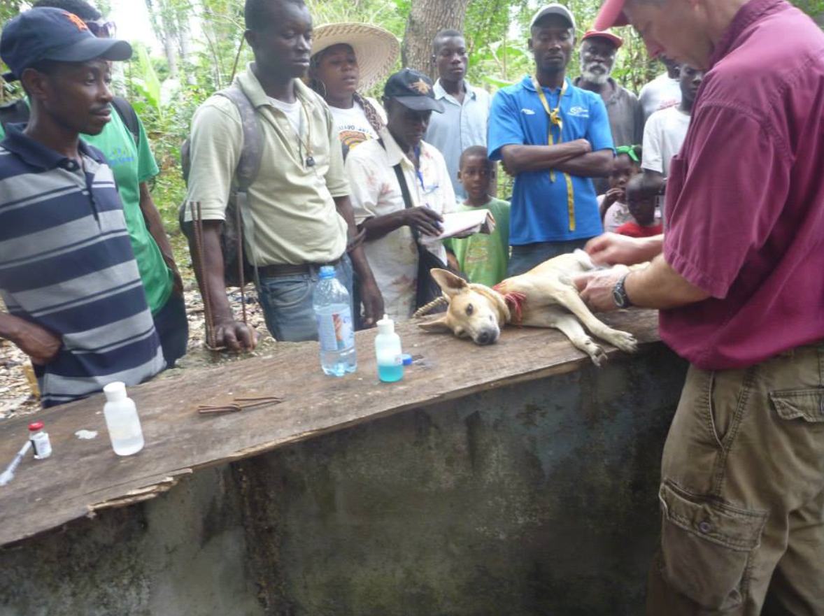 A group of people watching a doctor exam a dog