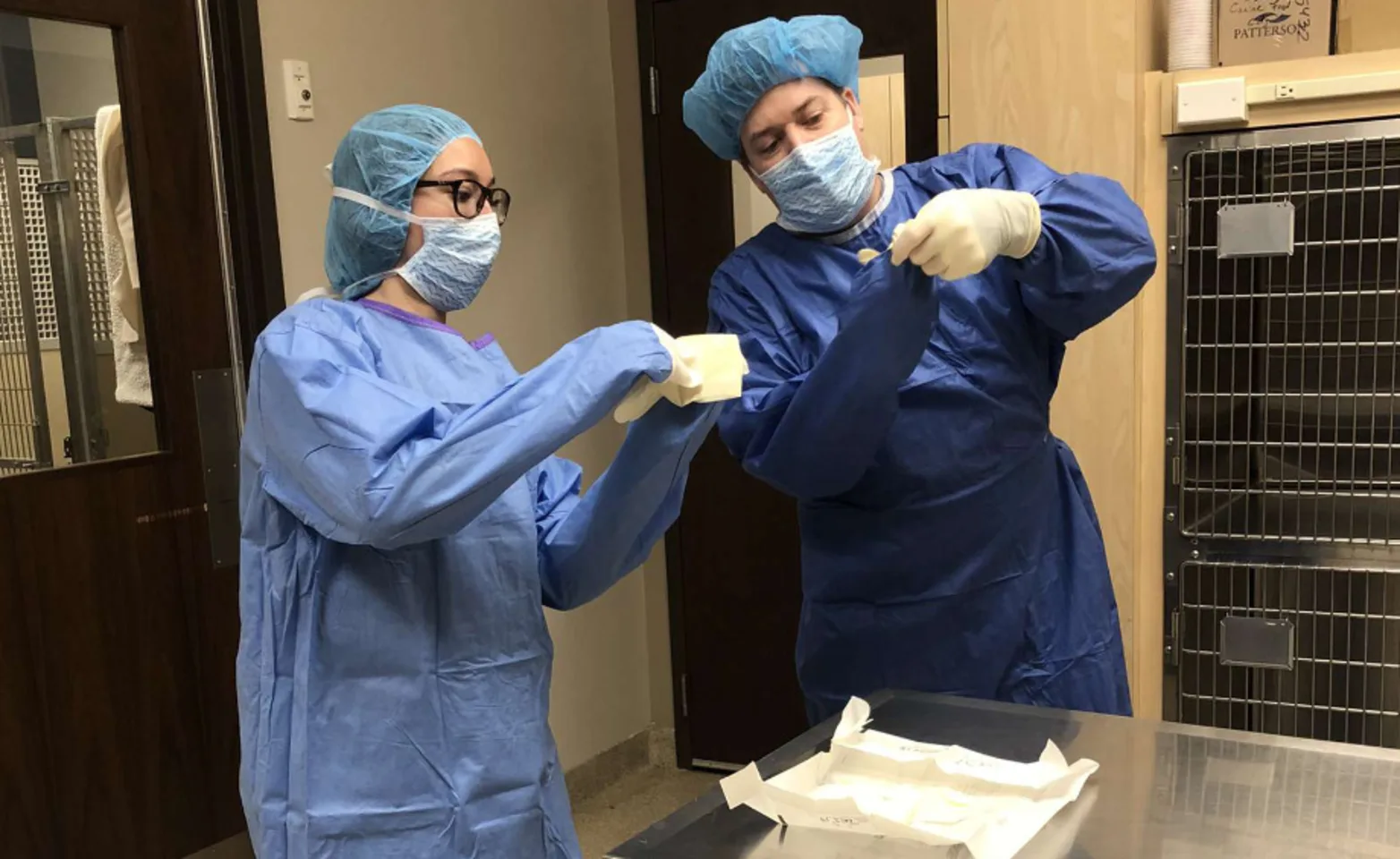 Veterinarians prepping for surgery at Animal Care Center of Shorewood Veterinarians prepping for surgery at Animal Care Center of Shorewood