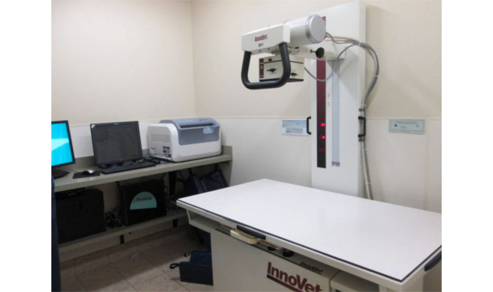 Eagle Animal Clinic Xray