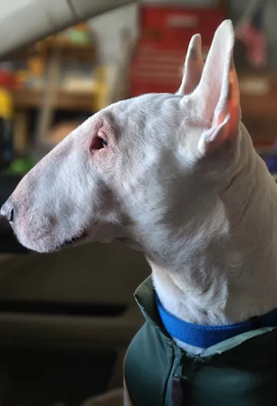 Urgent Care Urgent Care