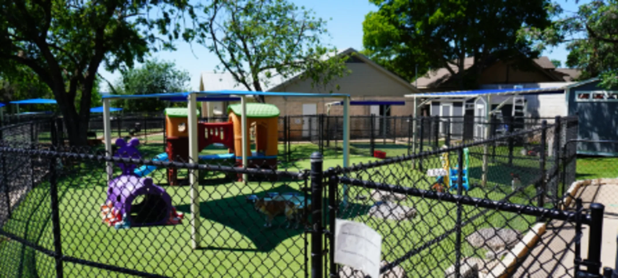 Boarding & Daycare Area at Hill Country Animal Hospital Boarding & Daycare Area at Hill Country Animal Hospital