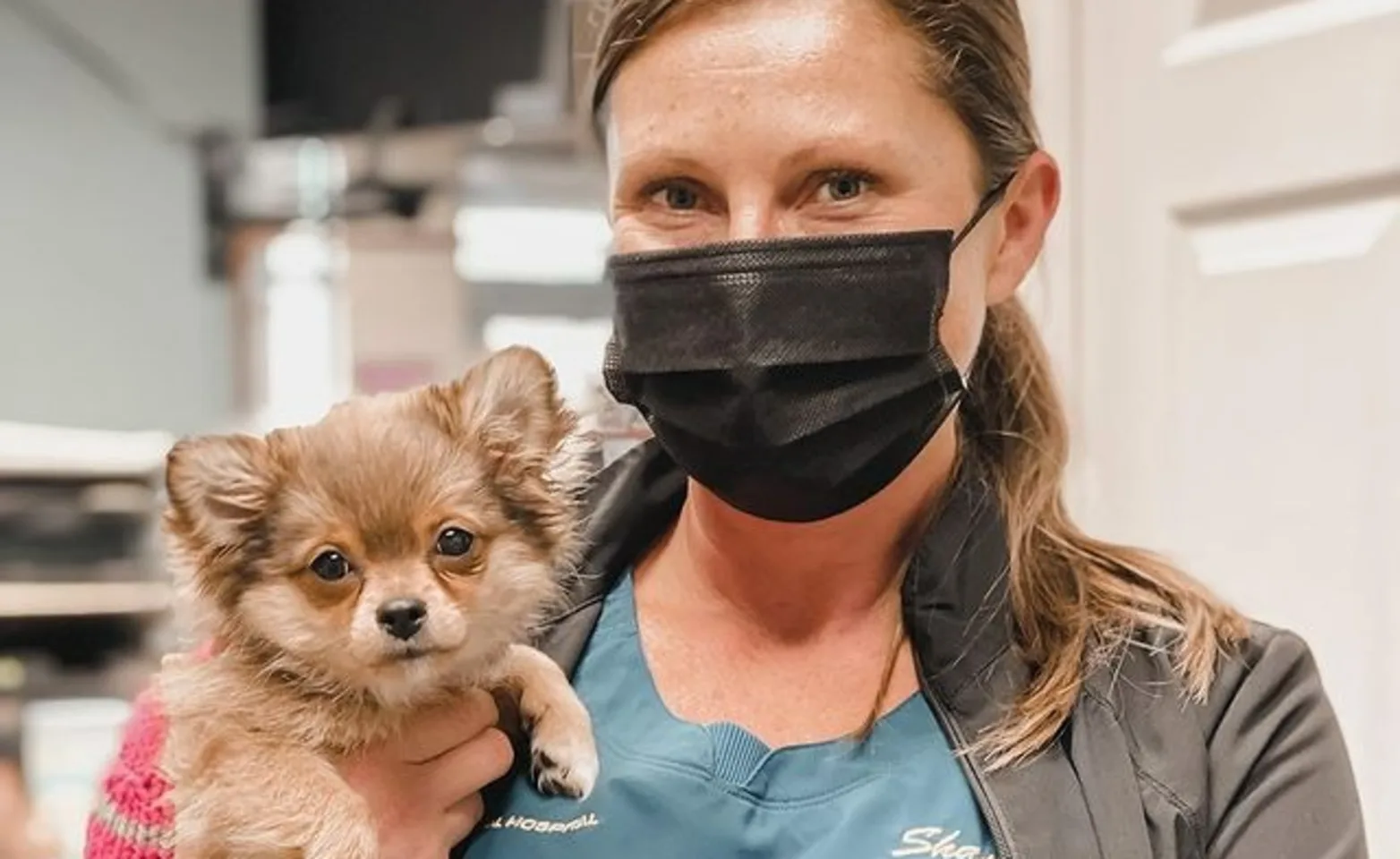 Technician With Puppy Technician With Puppy