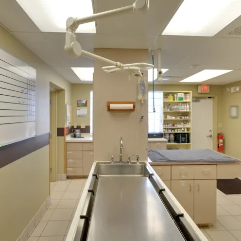 Peotone Animal Hospital  X-ray Room 2 which consists of a huge sink table, checkup counter with a towel on top, protective xray vest, a white board to put which patient is which