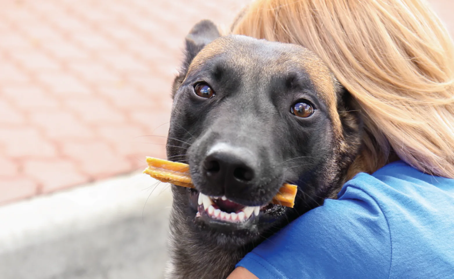 Dog with Treat in Mouth