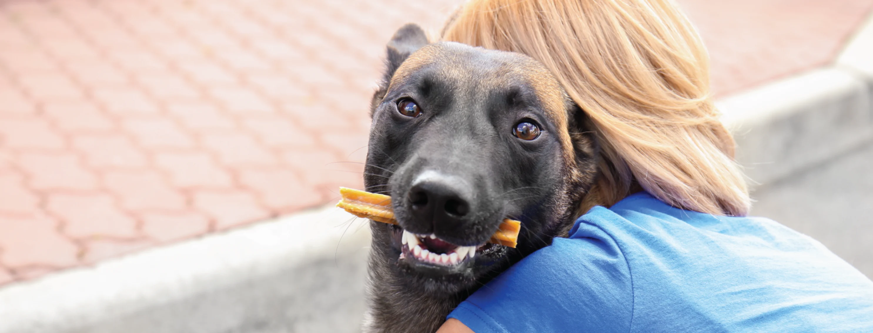 Dog with Treat in Mouth