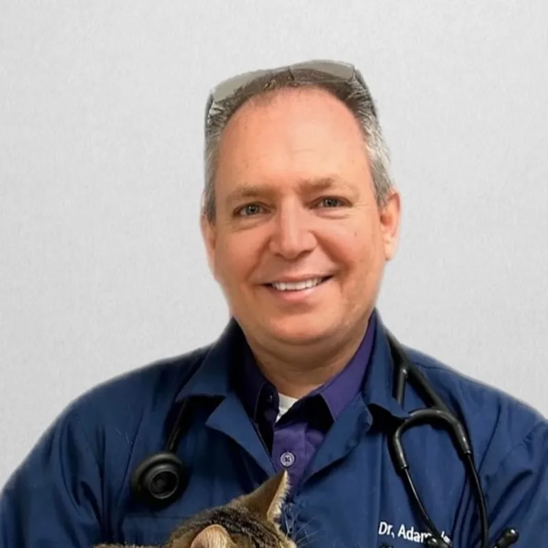 Adam Vernengo, DVM Adam Vernengo, DVM