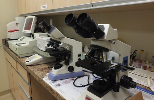 Hermitage Veterinary Hospital Lab Room