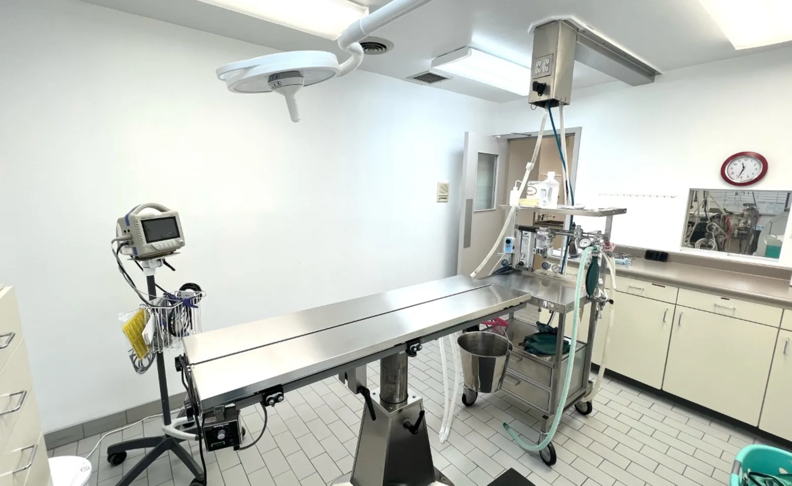 A room where the surgical procedures occur at Mitchell Animal Hospital A room where the surgical procedures occur at Mitchell Animal Hospital