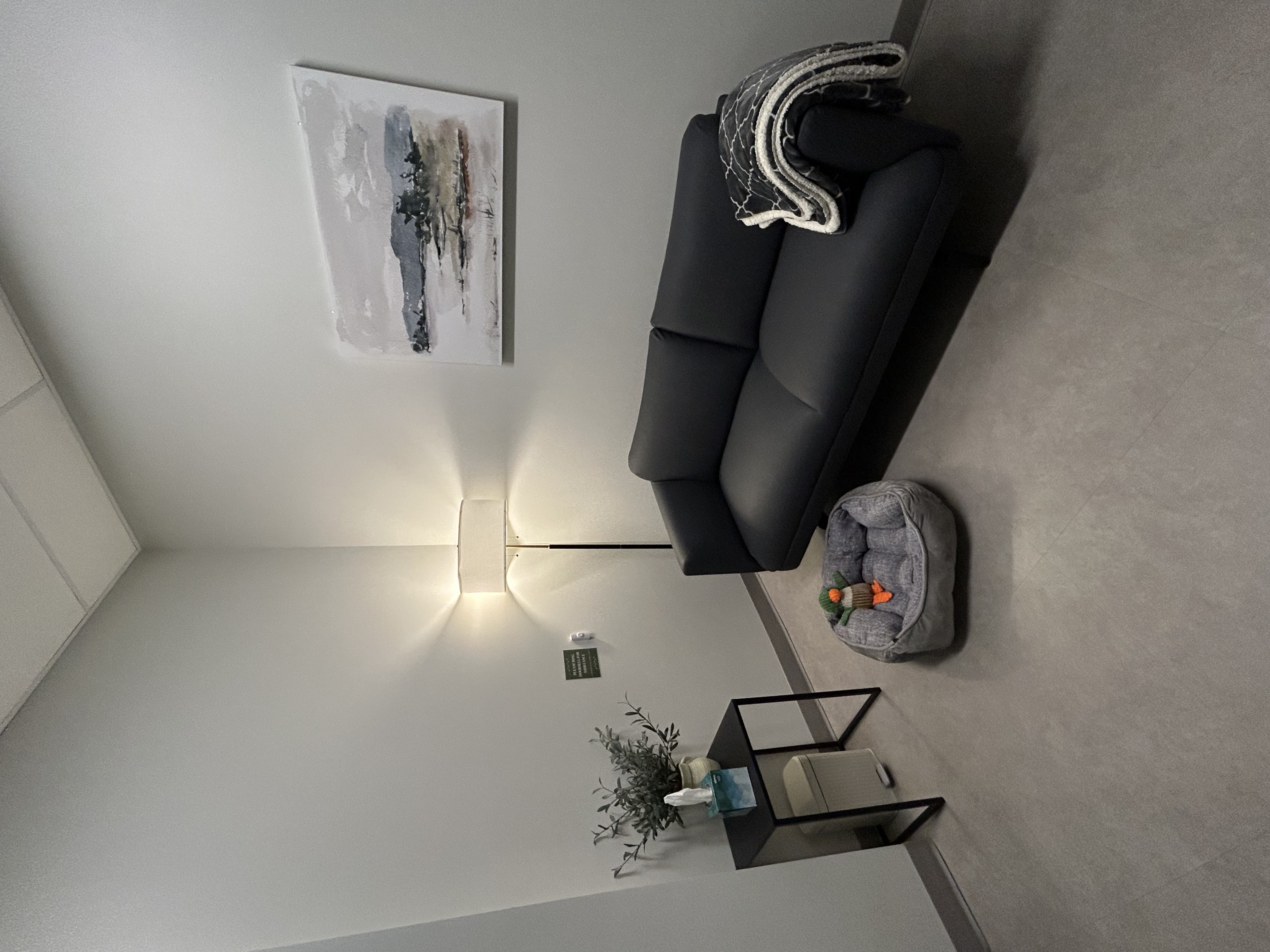 Vista Veterinary Specialists Visiting Area