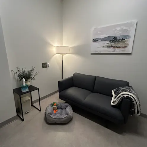 Vista Veterinary Specialists Visiting Area Vista Veterinary Specialists Visiting Area