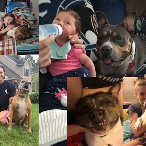 Nala Prizer Nala Prizer