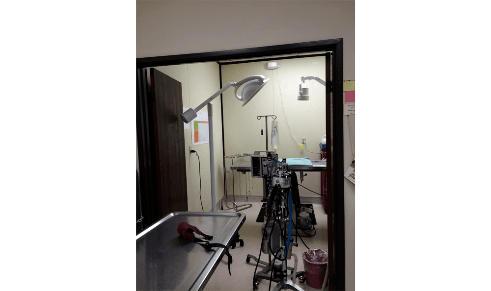 East Ventura Animal Hospital exam room 1 