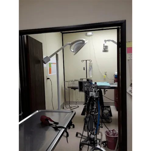 East Ventura Animal Hospital exam room 1 East Ventura Animal Hospital exam room 1