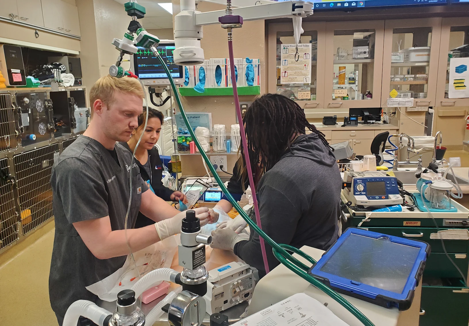 Arizona Veterinary Emergency & Critical Care Center staff members Arizona Veterinary Emergency & Critical Care Center staff members