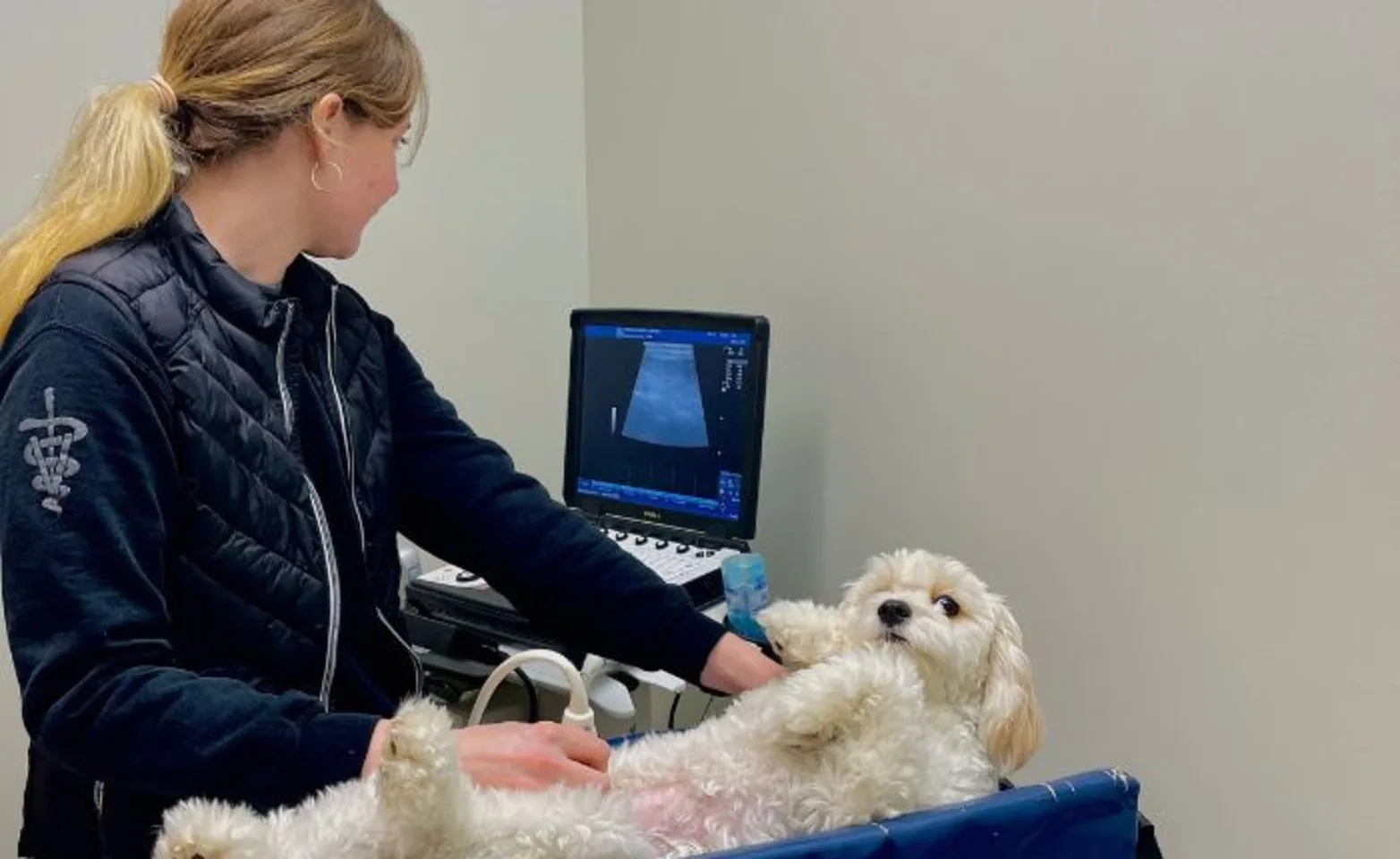 Staff Member Performing Ultrasound Staff Member Performing Ultrasound