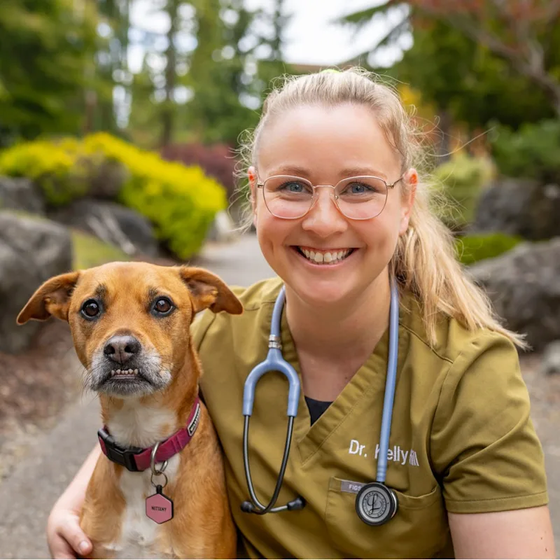 Dr. Kelly Hill Dr. Kelly Hill