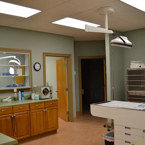 Hospital Room Hospital Room