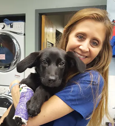 Karen Banks Karen Banks