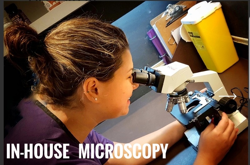 In house microscopy