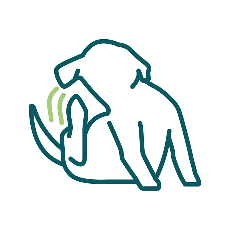 dog with Itchy Skin icon dog with Itchy Skin icon