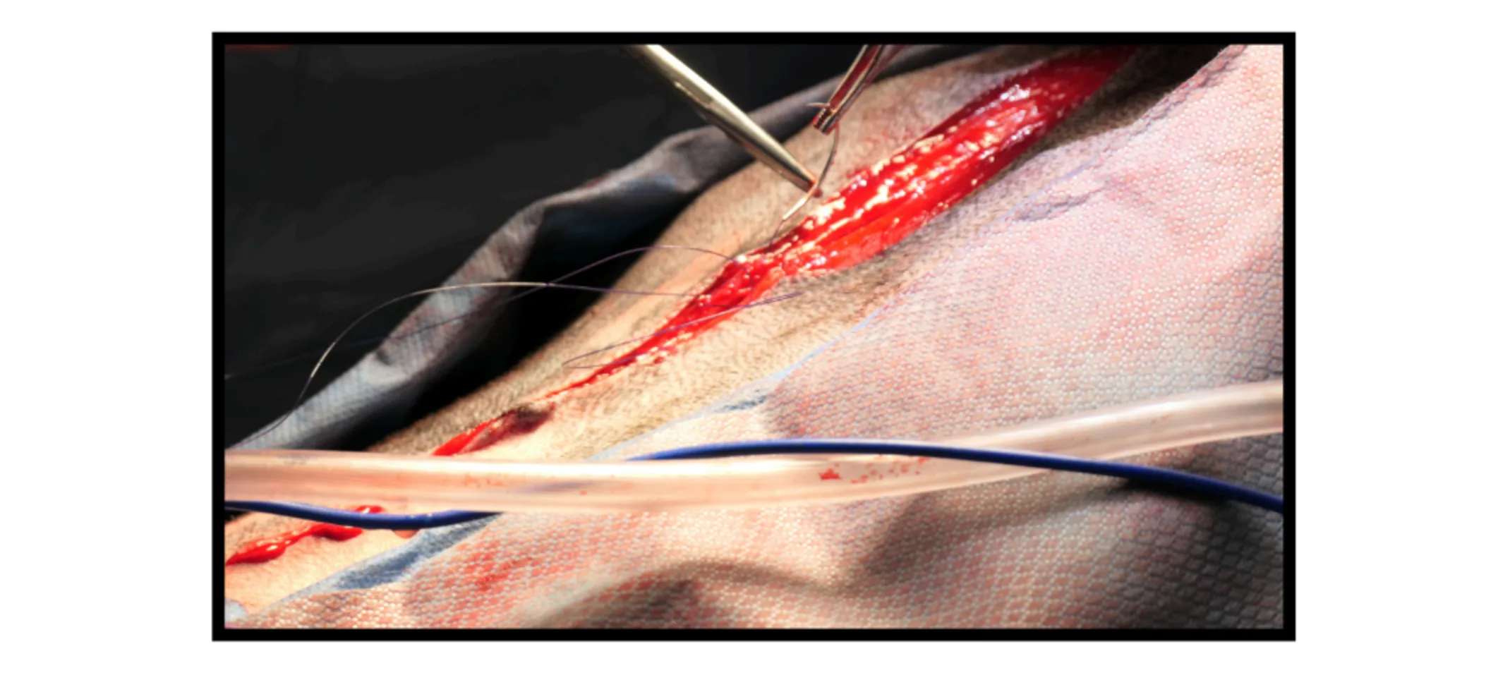 Riggins' Surgery Riggins' Surgery