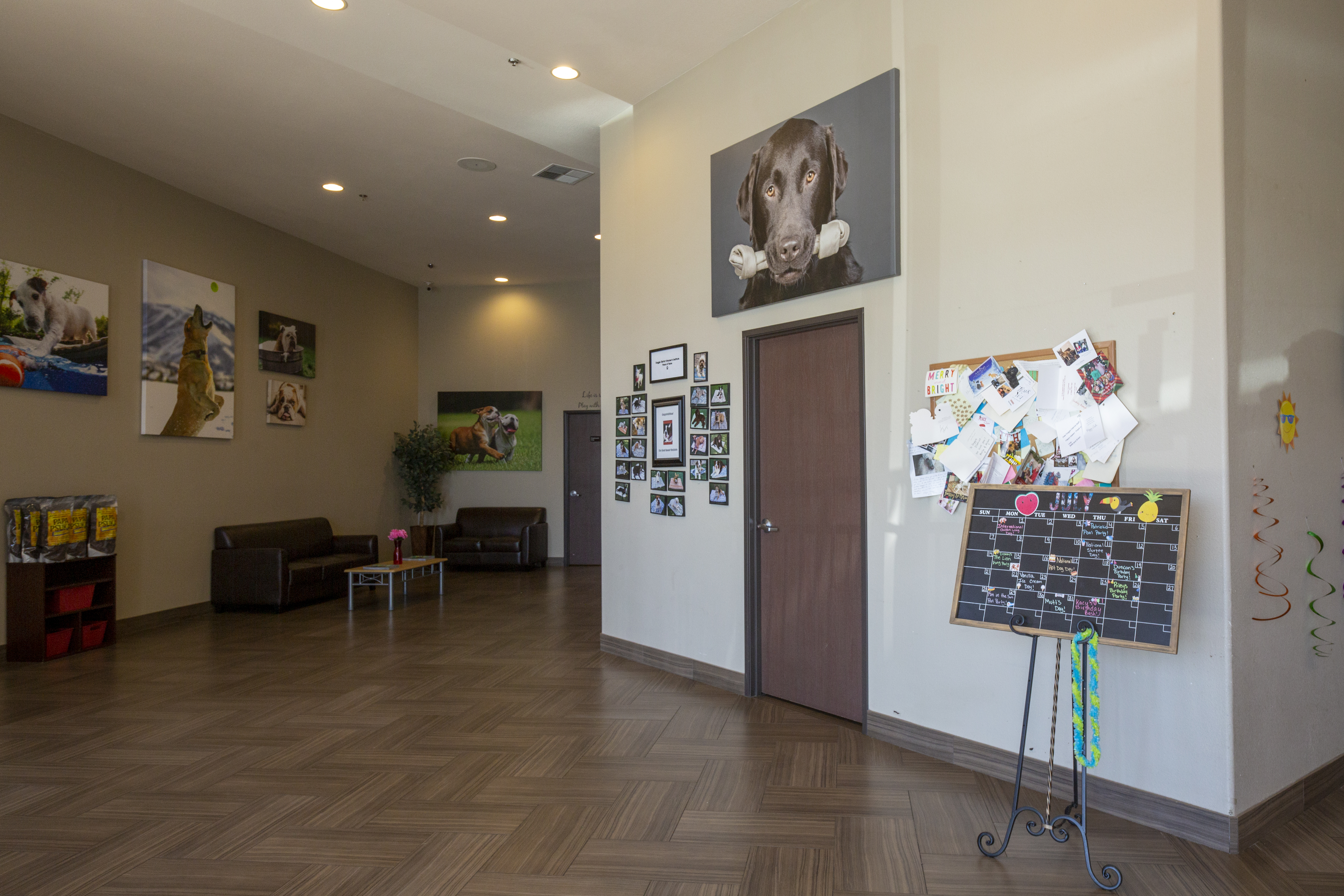 inside grand canyon doggie district