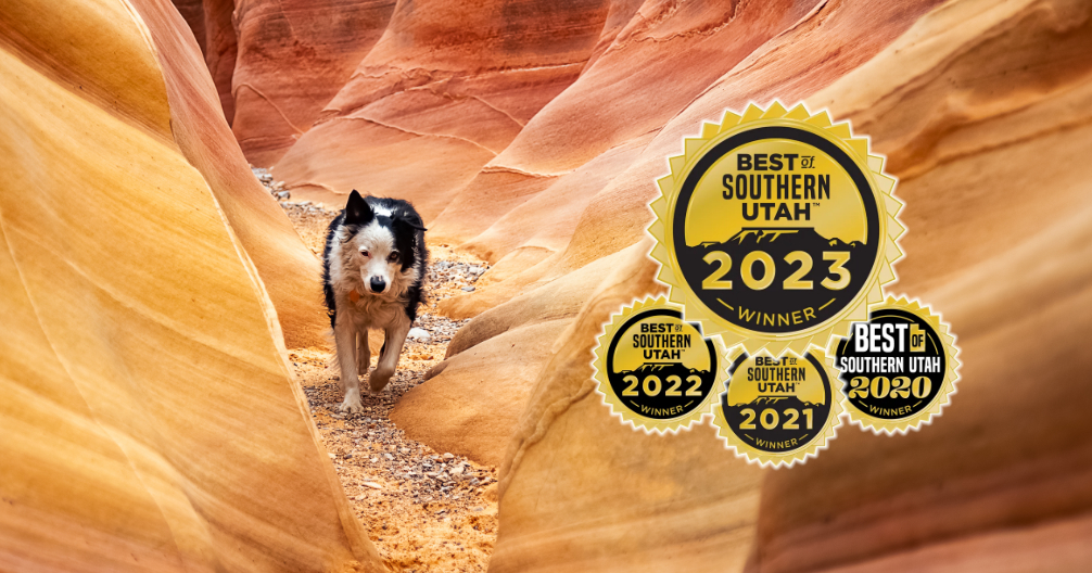 Veterinary Care in St. George, UT | Red Hills Animal Hospital