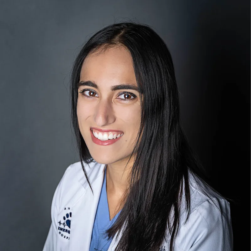 Dr. Elaine Sheikah - DVM at Animal Emergency and Specialty Hospital of Grand Rapids Dr. Elaine Sheikah - DVM at Animal Emergency and Specialty Hospital of Grand Rapids