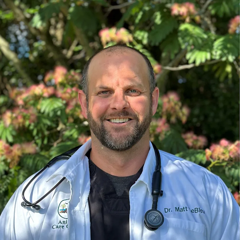 Dr. Matt T. LeBleu holding small black and white curly haired dog at Animal Care Center of Panama City Beach Dr. Matt T. LeBleu holding small black and white curly haired dog at Animal Care Center of Panama City Beach