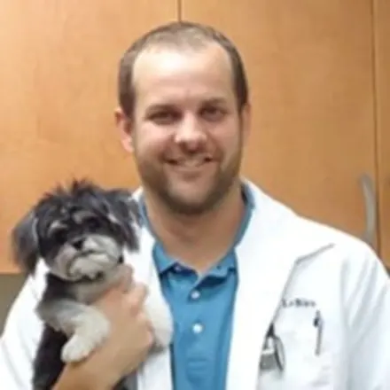 Dr. Matt T. LeBleu holding small black and white curly haired dog at Animal Care Center of Panama City Beach 