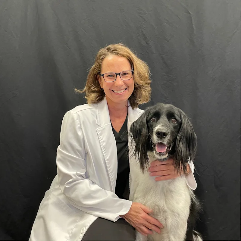 Dr. Mindy Klatt Dr. Mindy Klatt