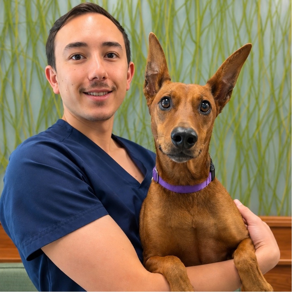 Dr. Aiden Schmitz