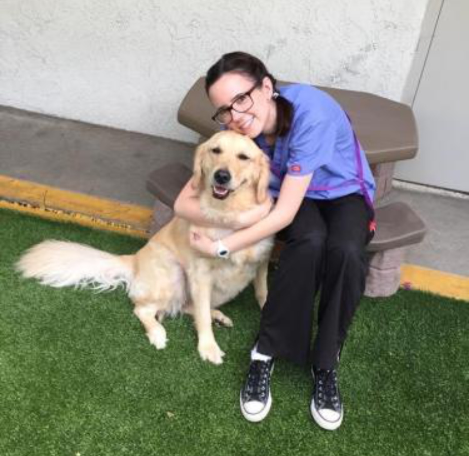 Staff member hugging dog