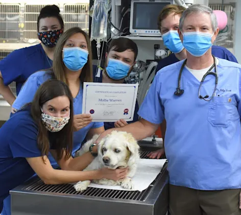 Oncology team at Animal Medical Center of Hattiesburg. Oncology team at Animal Medical Center of Hattiesburg.