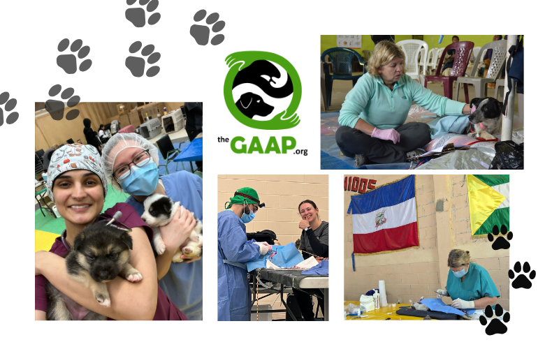Caring Beyond the Clinic: Allandale Staff and The GAAP are Making a Difference Across the Americas