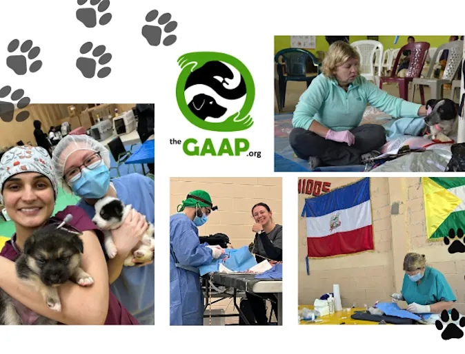 Caring Beyond the Clinic: Allandale Staff and The GAAP are Making a Difference Across the Americas Caring Beyond the Clinic: Allandale Staff and The GAAP are Making a Difference Across the Americas