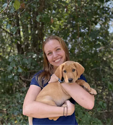 Piper Piper