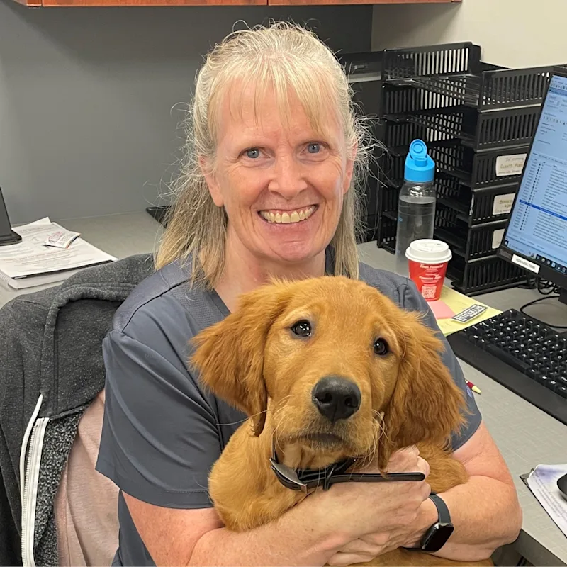 Dr. Noreen Carrigan Dr. Noreen Carrigan