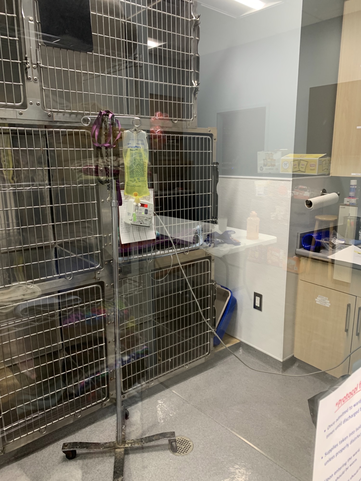 Countryside Animal Hospital of Hot Springs 0162 - Treatment Kennels 2