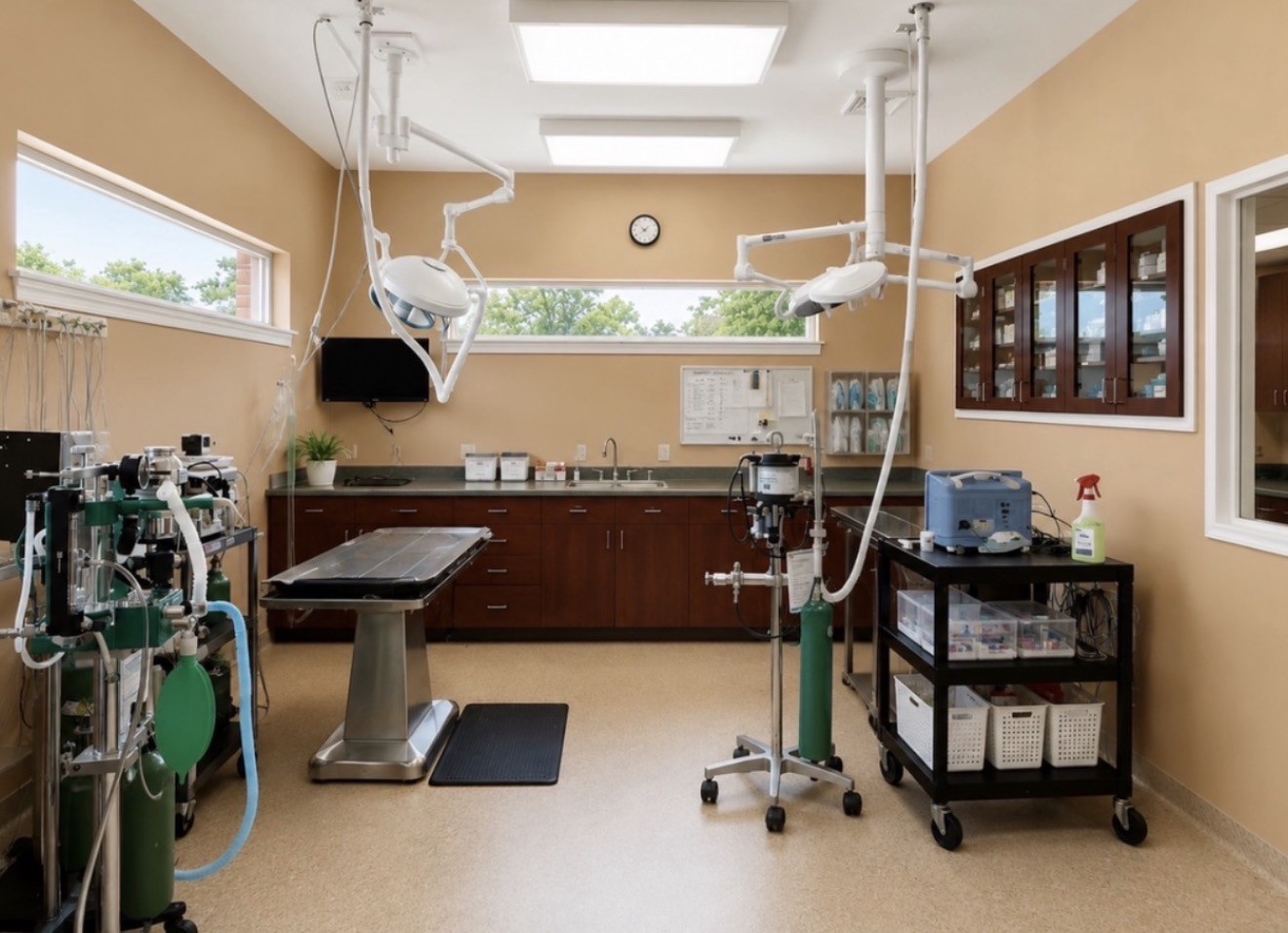 Seven Bends Veterinary Hospital Surgery Suite