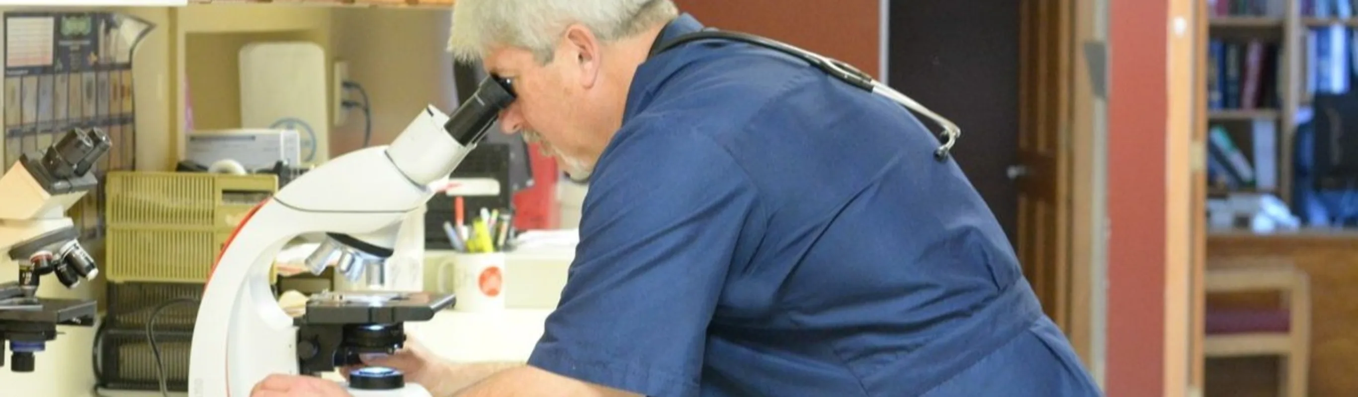 Doctor looking at microscope at State Street Animal Clinic Doctor looking at microscope at State Street Animal Clinic