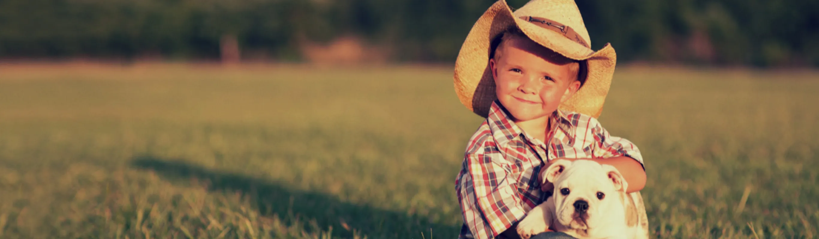 Boy with Bulldog Pup in Field Boy with Bulldog Pup in Field