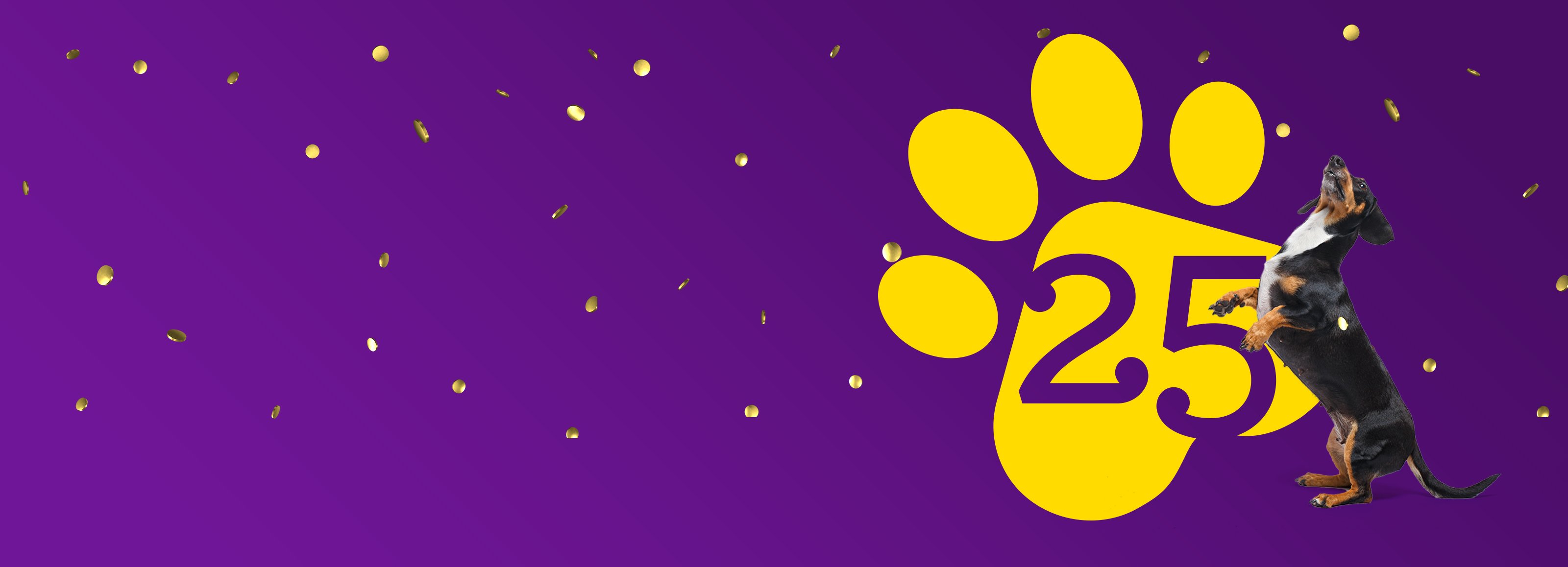 Dog celebrating 25 years